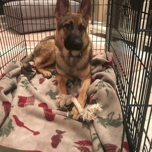 Meet your Posher, Mccarthy